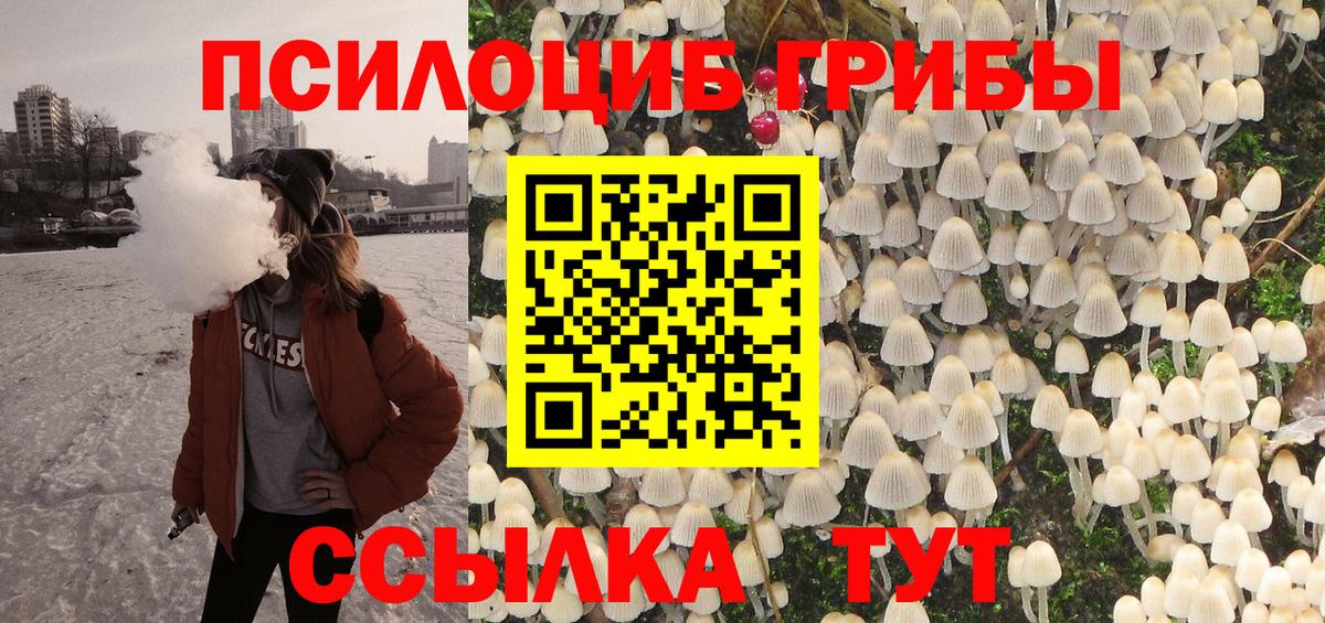 Галлюциногенные грибы Psilocybe  Вход с VPN  Псилоцибиновые грибы Cubensis  Ступино 